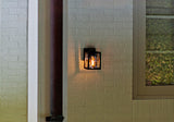 Lutec - Shiva Clear Outdoor Wall Light Black E27 5206501012